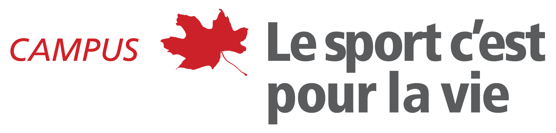 notre logo 